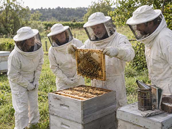 Kumeu Beekeeping Group meeting